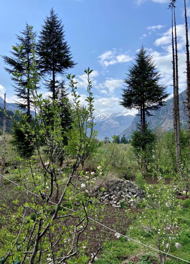 Getaway Stays Manali מראה חיצוני תמונה